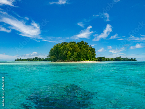 View of Ngerechong Island from boat  clear water  blue ocean  white sand beach and tropical green trees  Rock Island Southern Lagoon  Palau