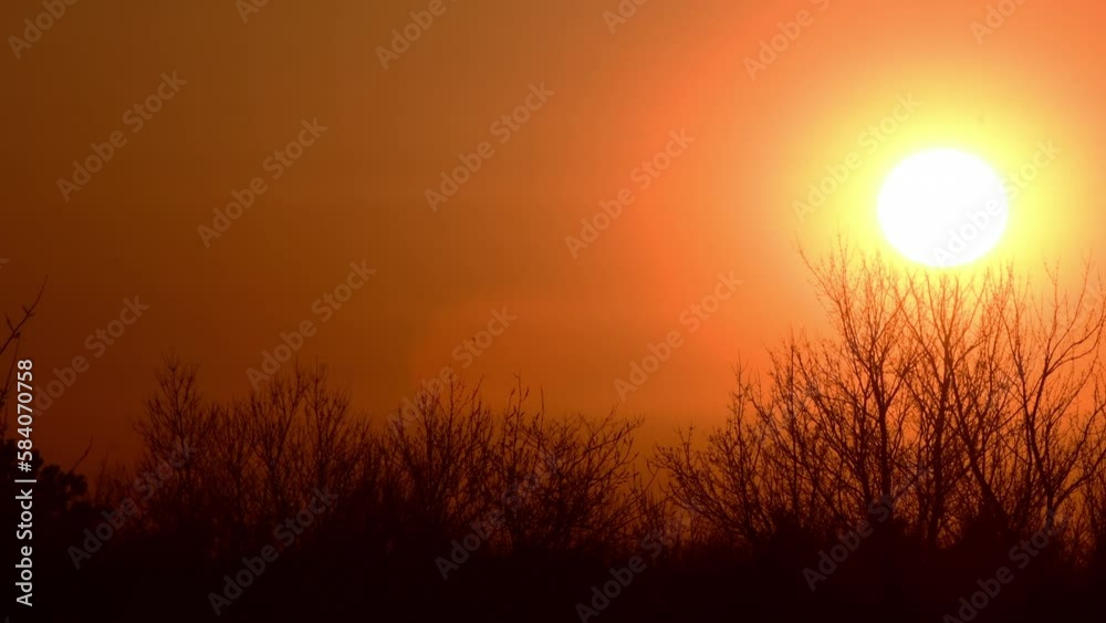 Morning sunrise in 4k resolution trees in silhouette early spring season Morning sunrise in 4k resolution trees in silhouette early spring season