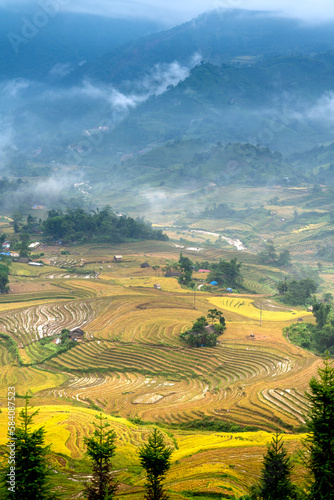 Admire the beautiful terraced fields in Y Ty commune  Bat Xat district  Lao Cai province northwest Vietnam on the day of ripe rice harvest.