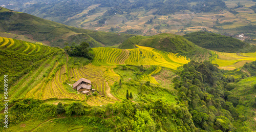 Admire the beautiful terraced fields in Y Ty commune, Bat Xat district, Lao Cai province northwest Vietnam on the day of ripe rice harvest. Rural landscape of Vietnam