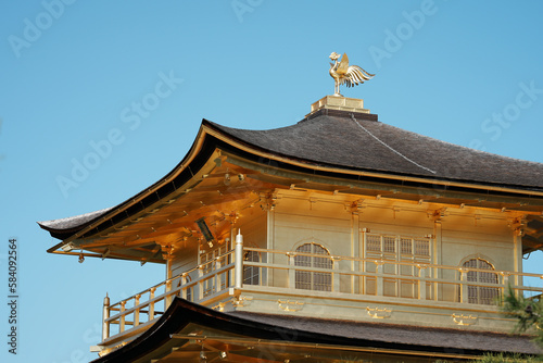 500_F_584092564_zffKgZ7XV2zaRh