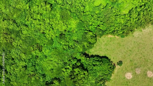 Wallpaper Mural 南国の離島と海　空撮 Torontodigital.ca