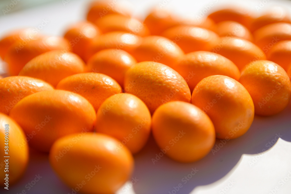 Close up on a group of small kumquats, illuminated by the sun Close up on a group of small kumquats, illuminated by the sun