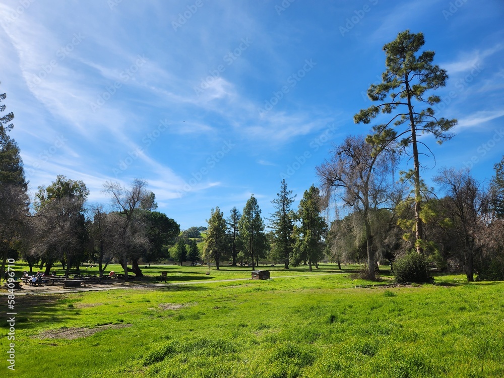 landscape with trees in Ed R. Levin County Park