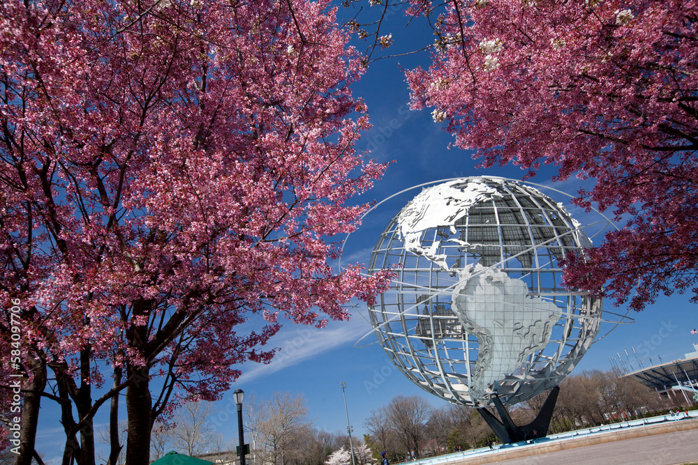 Foto de Cherry blossom trees in Flushing Meadows Corona Park at New