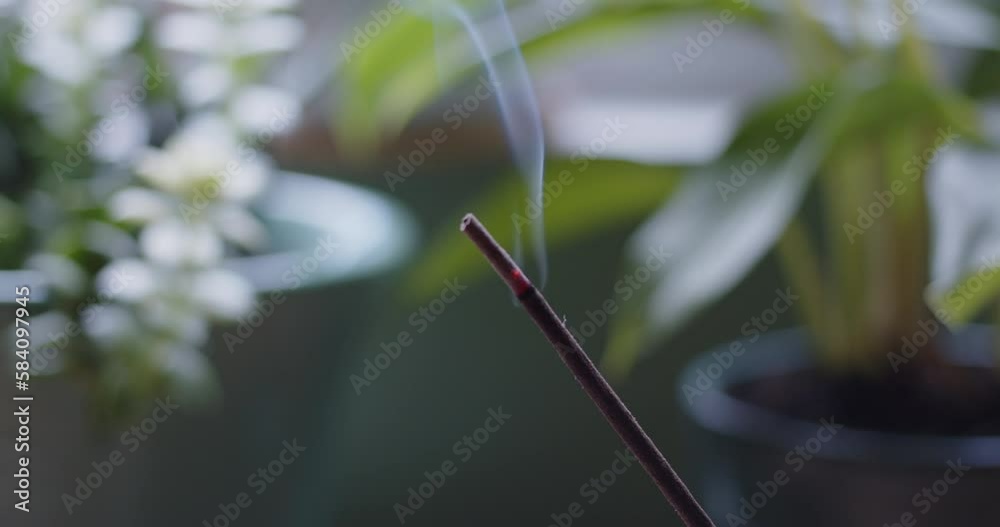 Track-Right Close-up of burning incense stick. Shot on the Blackmagic Cinema Camera 6K Pro on a slider and natural light. Color graded in DaVinci Resolve. 4K ProRes 422 HQ DCI 4096 x 2160 Track-Right Close-up of burning incense stick. Shot on the Blackmagic Cinema Camera 6K Pro on a slider and natural light. Color graded in DaVinci Resolve. 4K ProRes 422 HQ DCI 4096 x 2160