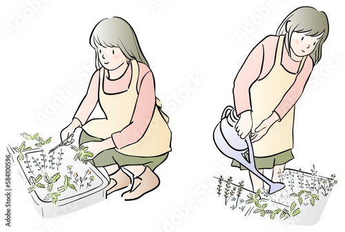 ハーブの手入れをする女性のイラスト　カラー