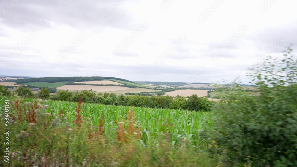 Driving fast by fields of wheat and corn on a bright cloudy day Driving fast by fields of wheat and corn on a bright cloudy day