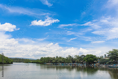 views of rivers and mangrove forests and cloudy blue skies in the morning, no people © Rizky Rahmat Hidayat