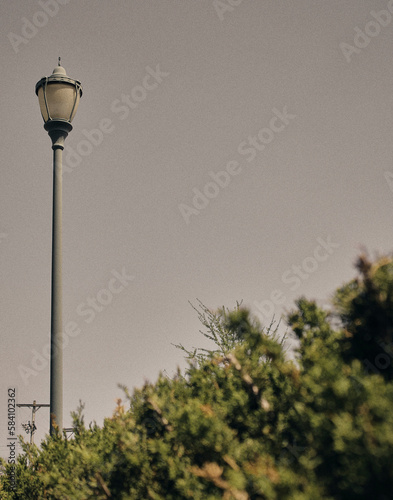 street lamp above bushes