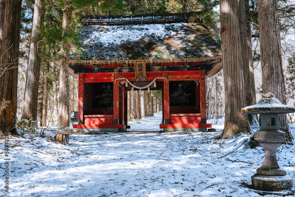 The big red togakushi shrine stands in the snowy forest in Togakushi ...