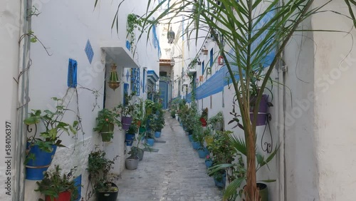 Charming Tangier alley decorated with many lush plants in pots, Old Medina. Morocco