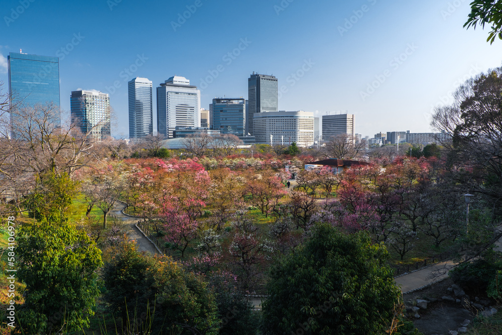 大阪府 大阪城梅林公園の春景色