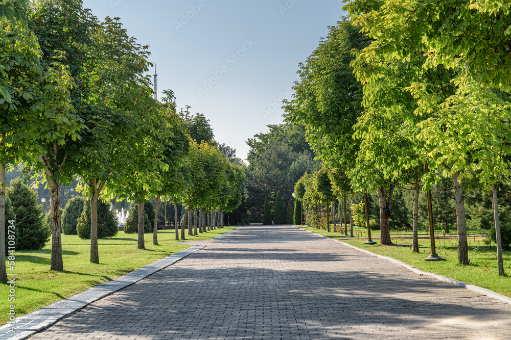 Awesome view of beautiful green alley in a city park Awesome view of beautiful green alley in a city park