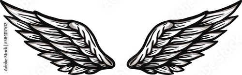 wings vector image illustrations
