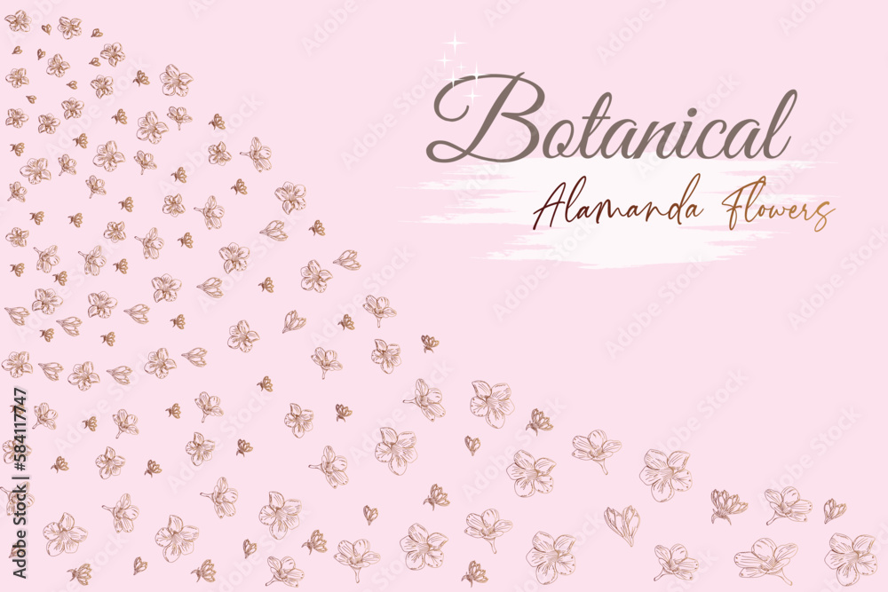 Alamanda line flowers.
frame and pink background vector illustration.