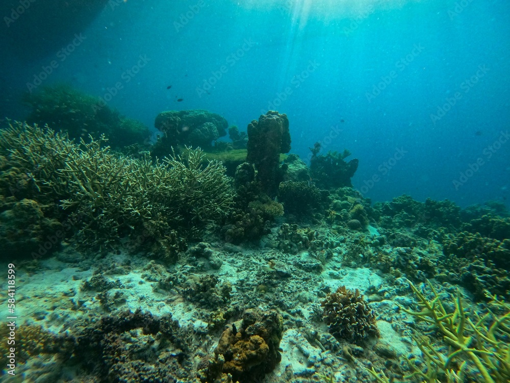 Idyllic shot of a coral reef in Coron, Palawan in the Philippines. Idyllic shot of a coral reef in Coron, Palawan in the Philippines.