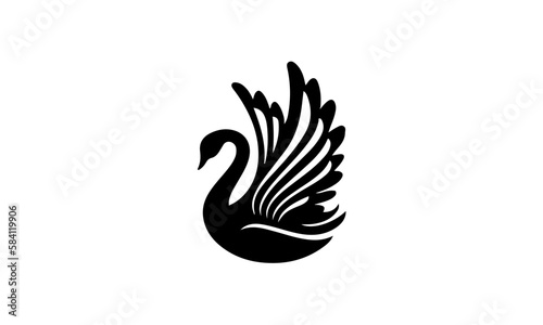 Fototapeta Naklejka Na Ścianę i Meble -  black swan on white