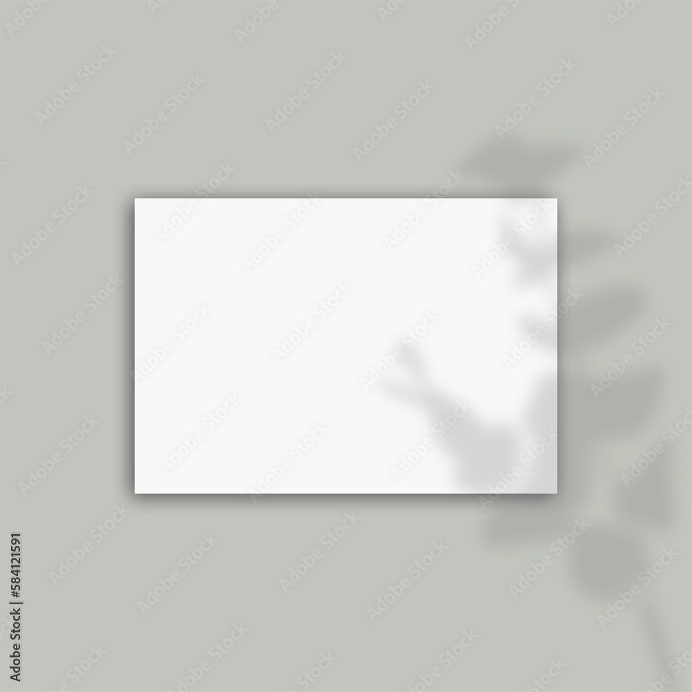 Shadowed Plant with Pastel Background 5