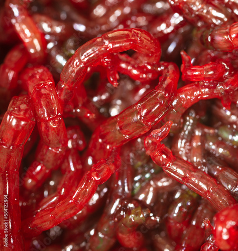 Red bloodworm as a background. Macro.