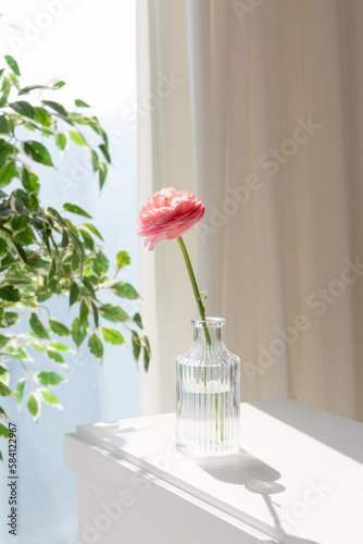 Vase and flowers in front of the window