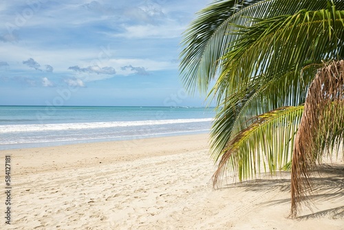 Dreamlike idyllic beach of El Nideo, Palawan in the Philippines, with a palm tree in the foreground.