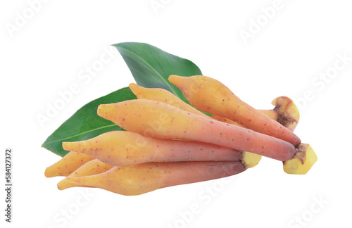 Finger root lngredients for thai cuisine on transpnrent png