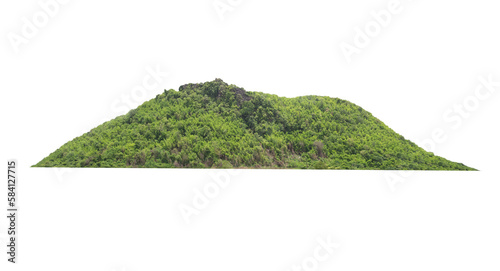 Green tree isolated on transparent background with clipping path, hill, mountain with clipping path and alpha channel. for both printing and web pages. 