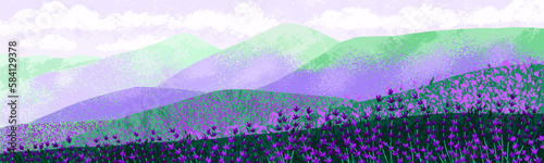 Lavender field on hills, nature landscape background. Purple floral plants blooming on meadow. Blossomed violet lavanders, countryside panorama scenery, wild gentle flora. Flat vector illustration