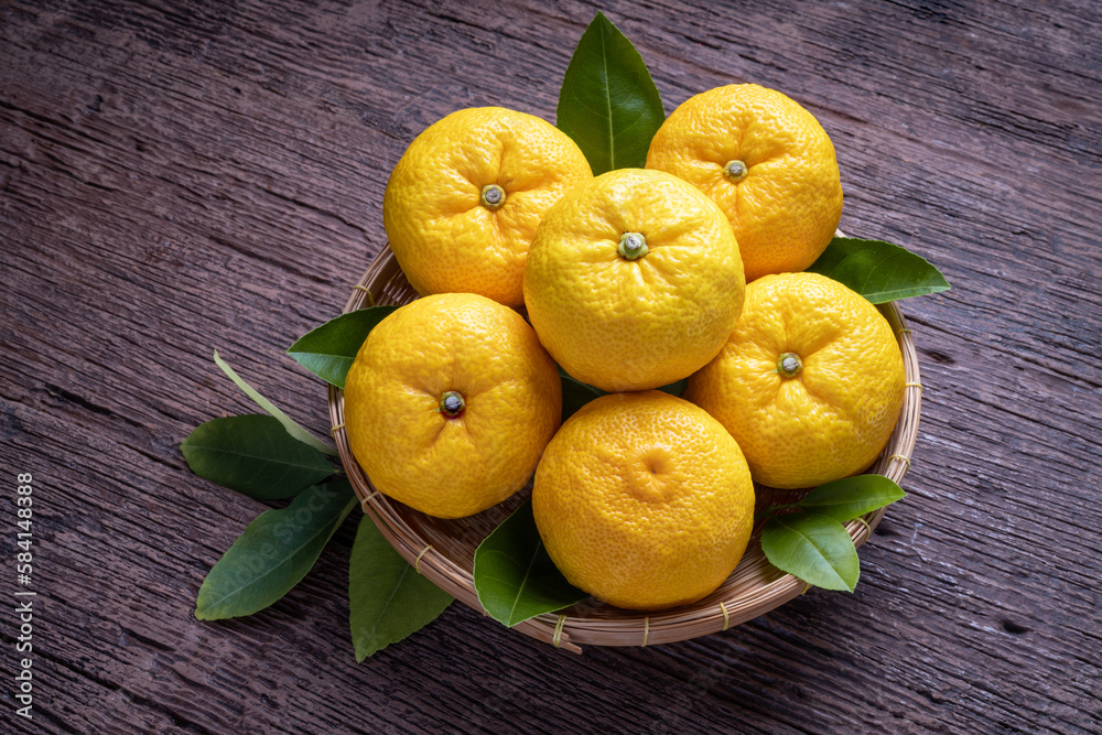 Fresh Sweet Yuzu Orange fruit in wooden basket over wooden background, Yuzu Orange fruit, Citron citrus on wooden background.