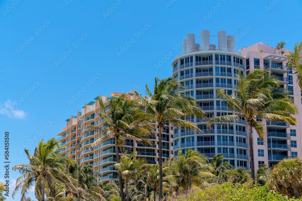 Multi-storey buildings behind the plants and coconut trees in Miami, Florida. There are palm trees at the front of the buildings with balconies against the blue skies.