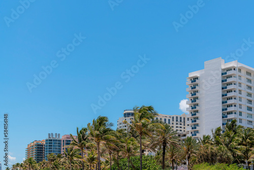 Coconut trees at the front of mid-rise apartments hotel buildings in Miami, Florida. There are row of buildings behind the trees with blue skies background. © Jason