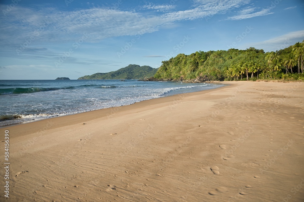 Obraz premium Dreamlike idyllic beach of El Nideo, Palawan in the Philippines with palm trees along the beach.