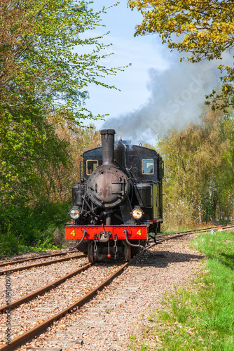 Old steam locomotive on a railway in a lush green woodland