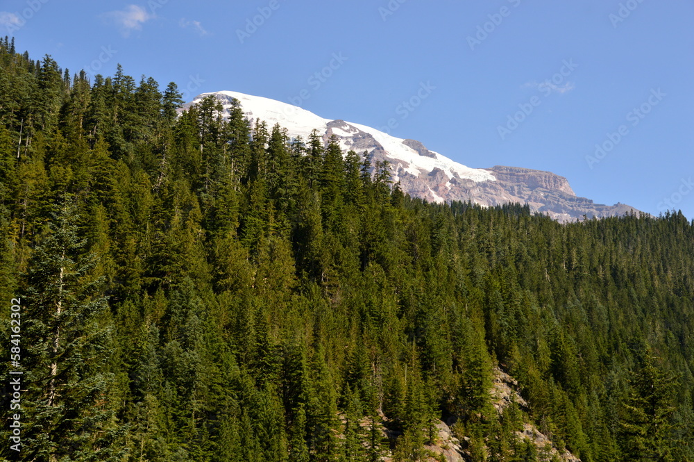 Panorama of Mount Rainier National Park, Washington