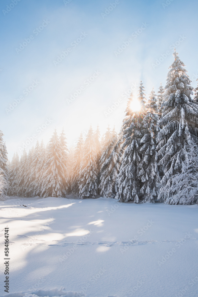 Breathtaking winter fairy tale in the surroundings of Lys mountains, Beskydy mountains, Czech Republic. The morning sun illuminates the snowy forest and meadow with its rays passing through the fog