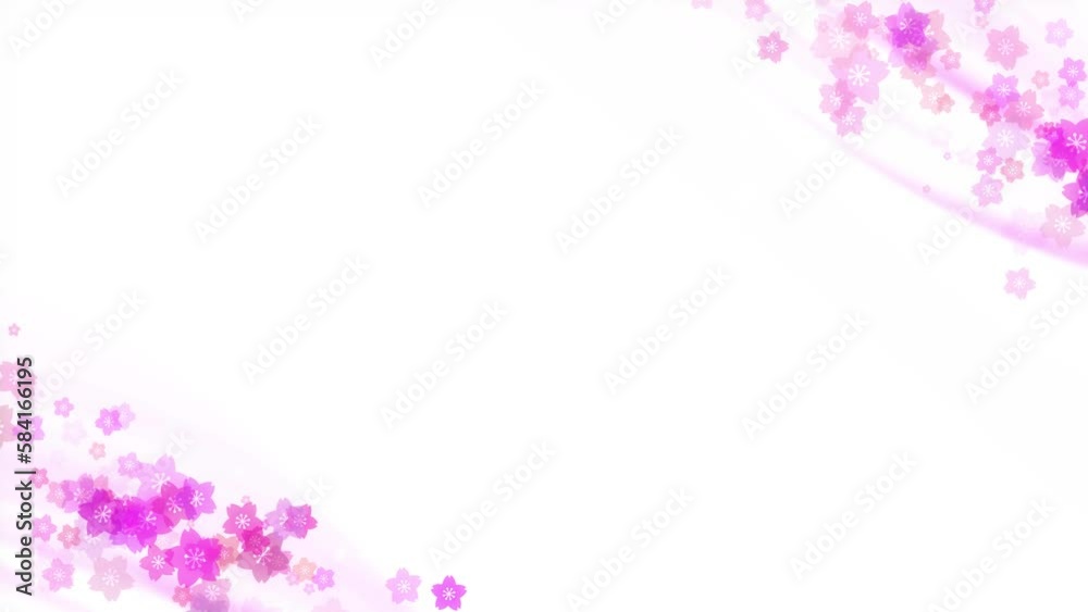 cherry blossom loop background material cherry blossom loop background material