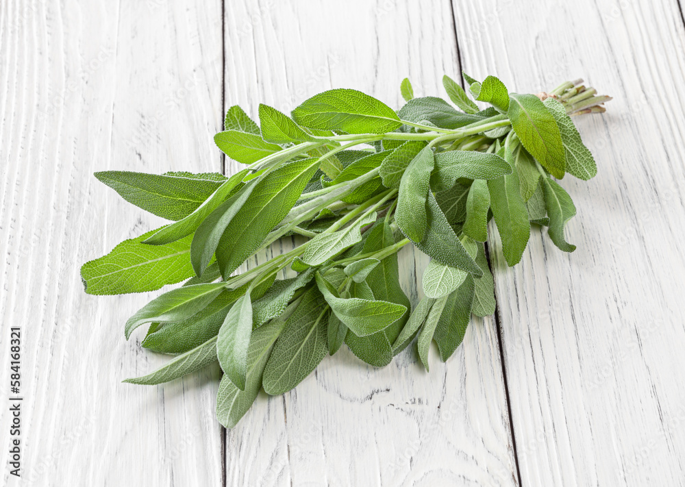 Bunch of fresh sage on white wooden background