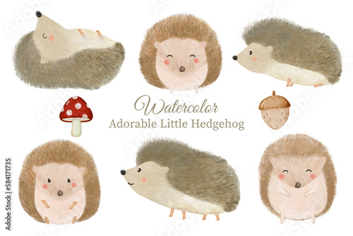 Wallpaper Mural Watercolor hedgehog set in different poses: sleeping, sitting, walking,standing, and smiling. Torontodigital.ca