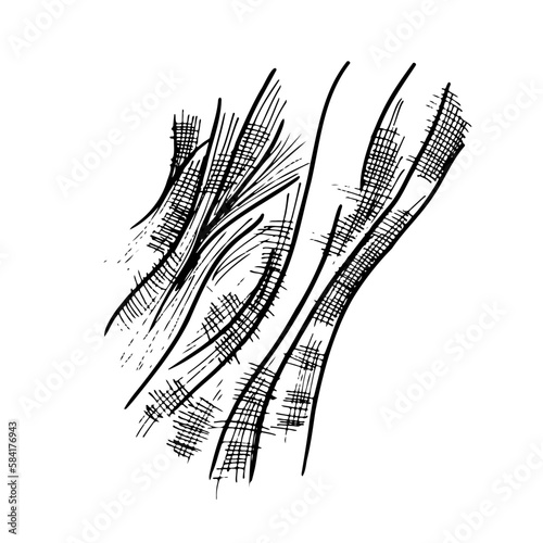 fine mesh fabric with pleats in engraving style - hand drawn doodle. tulle vector sketch