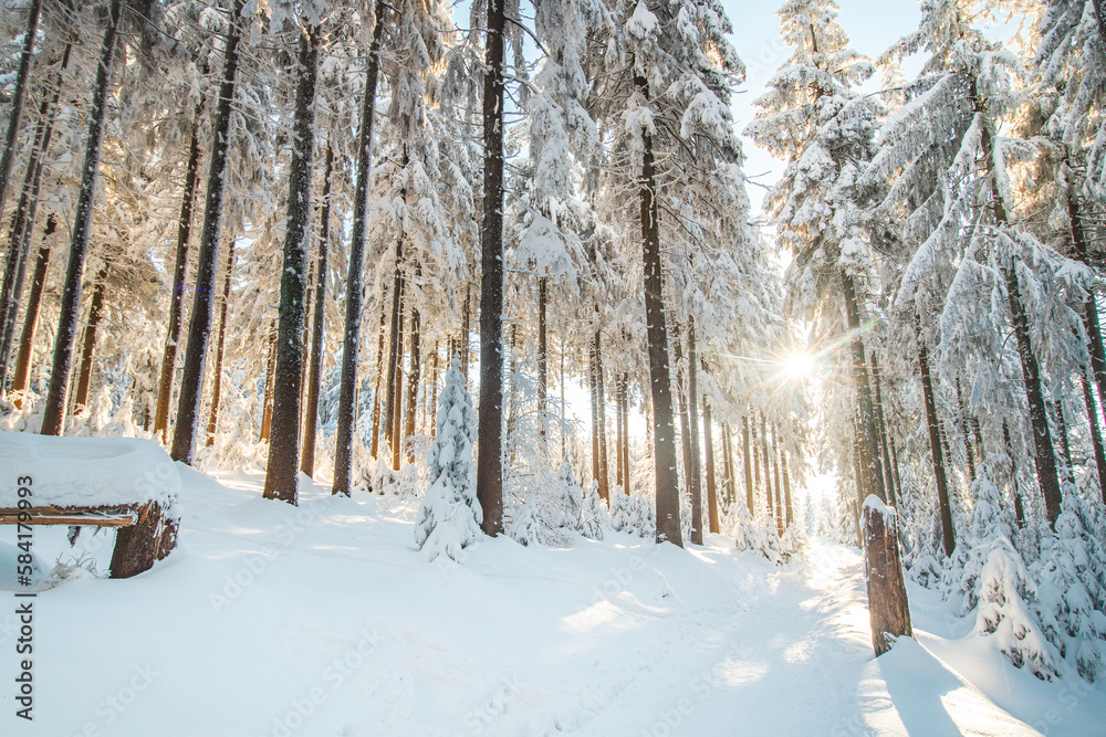 Fototapeta premium Walk through a nature reserve during the winter season at sunrise in Beskydy mountains, Czech republic. Breathtaking view of the golden rays of the sun illuminating the footpath