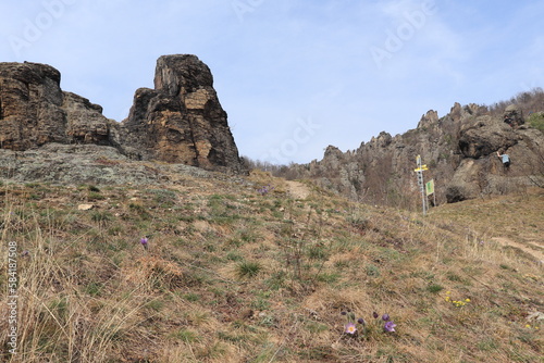 Felsen, Halbtrockenrasen mit Pulsatilla photo