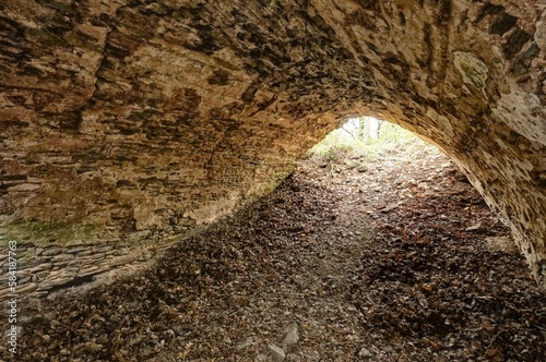 Old medieval vault filled with foliage