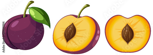 Set of plum fruit cartoon