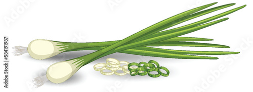 Spring onion in different forms