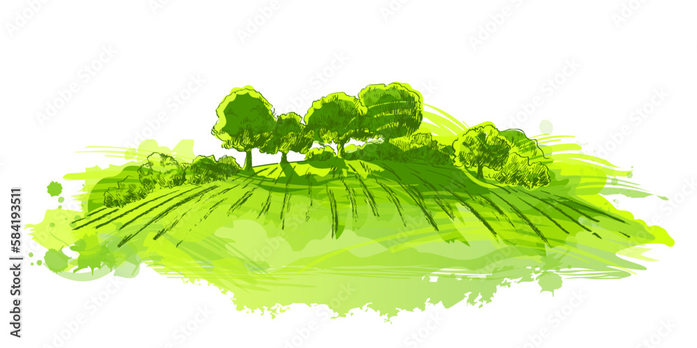 Watercolor field on small hills. Meadow green grass, grassland, pasturage, farm, trees. Rural scenery landscape panorama of countryside pastures. Hand drawn vector illustration - obrazy, fototapety, plakaty 