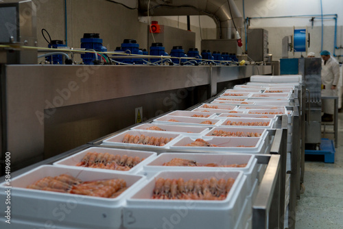 boxed prawns in factory