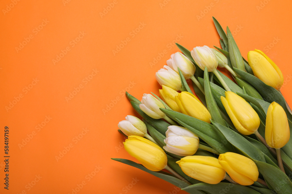Beautiful yellow tulips on orange background, flat lay. Space for text Beautiful yellow tulips on orange background, flat lay. Space for text
