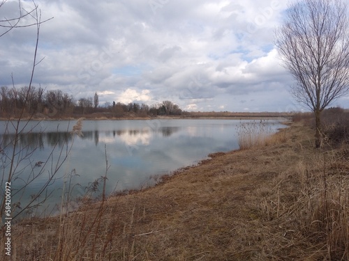 lake in the forest