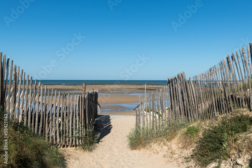 Fototapeta Naklejka Na Ścianę i Meble -  Ile d’Oléron (Charente-Maritime, France), chemin d’accès à la plage de la Rémigeasse à Dolus d'Oléron